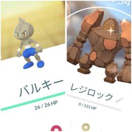色違いバルキー♂ 東京産レジロック コイル アカウント販売
