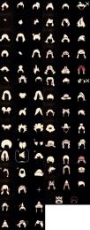 交換/魔法の季節〜星の王子さまコンプ垢