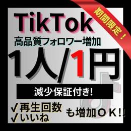 【※12/31迄期間限定価格※】TikTokフォロワーが1人1円！減少保証付き！