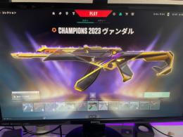 VALORANT引退アカウント Championsスキン2022.2023