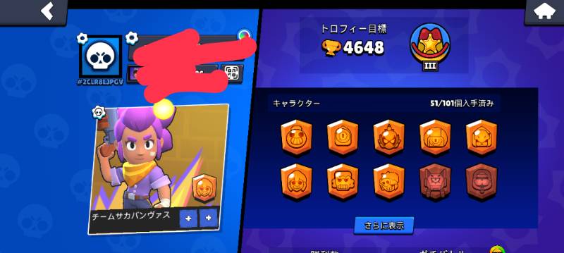 出品画像