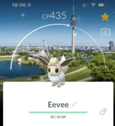 (非対面トレード)✨色違いイーブイ探検家帽ミュンヘン背景