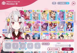星5×5体　現状最強リーダー×3体