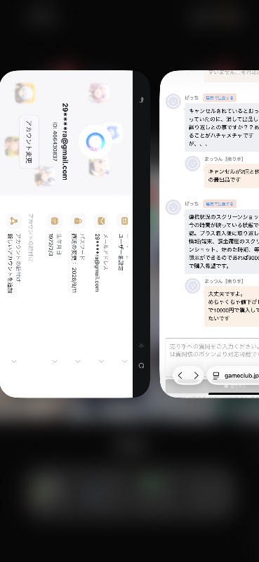 出品画像