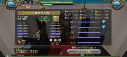 ◆慣れペット 完成系