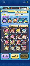 スコアタ、周回、強敵専用のキャラほとんど揃ってます