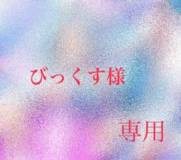 びっくす様専用