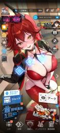 アニススター完凸/新スノホワ3凸/赤ラピ3凸/ピルグリム多数