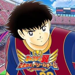 夢球11500個以上+チケット310枚+SSR确定チケット31枚前後+大量材料