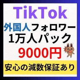 【1万人パック】TikTok多国籍フォロワー1万人増加