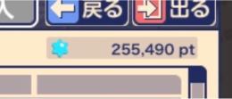 バザーポイント25万ポイント