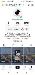 初回投稿ミリオン達成！動物系投稿アカウント！！400万再生 ハイクオリティアカウント
