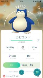 【アカウント】色違いカビゴン(国産)・色違いハットコリンク(国産)・色違いマダツボミ