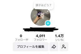 【日本製 自力垢】フォロワー4000人超えTikTokアカウント