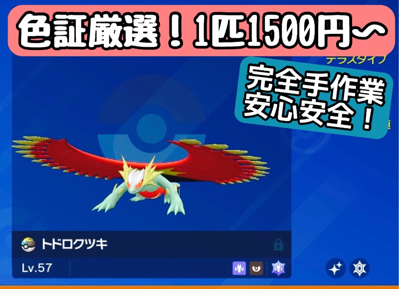 出品画像