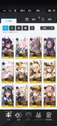 プリグリム4体（内1凸　2体）SSR24体