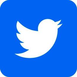 高品質Twitterアカウント×10　最安値　サービスあり