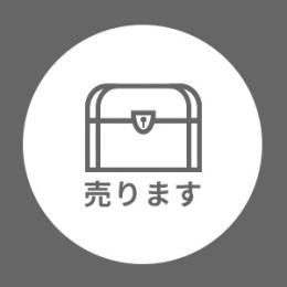 ブロフルの実セット(最安値