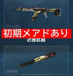 【初期メアド】✨champions 2021✨課金18万✅️ 正規 引退垢🔥日本国籍