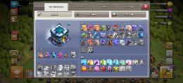 【値下げ中‼️】TH13 引退垢