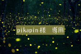 pikapin様専用
