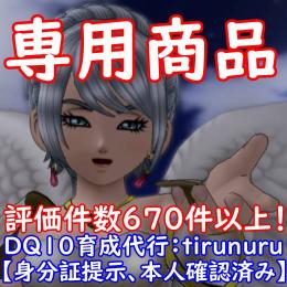 専用