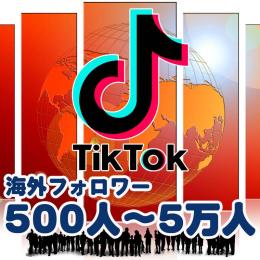 海外フォロワー増加　格安8,700円で+１万人！ 振り分け可 最安値