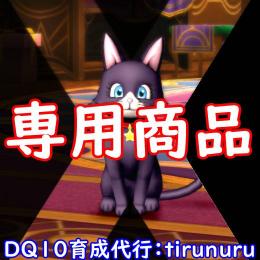 専用 アイテム収集