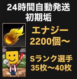 ⭐︎24H自動発送⭐︎ 初期垢