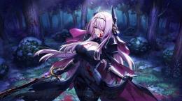 幻魔石280000~480000個+SSRキャラ10~45体+ガチャ券130-300枚 初期垢‼️