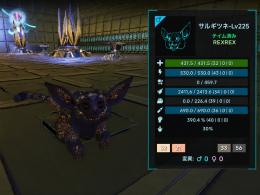 🎨 アンブラ  パレオクトパス  ベールウィン  タイドパップ ✨ 即納OK