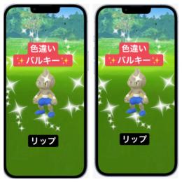色違い✨バルキー✨アカウント
