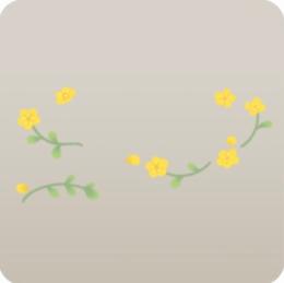 Spring Flower Picnic【N 小さな野花】