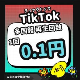 【減少補償付】 TikTok 多国籍 再生回数▶️増やします！