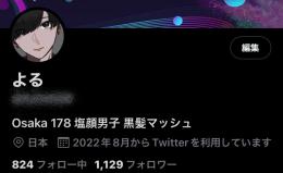 【出品者総監修】フォロワー1100↑ 厳選裏垢男子垢 全日本人高アクティブ シャドウバン無し