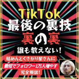誰も教えない！㊙️最終！完全マニュアル教えます TikTokティックトック