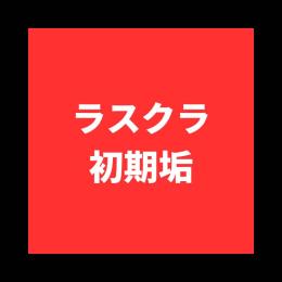 コメントなし即購入OK！
