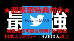 【★特典PDF付き★】コンサル生に人気の育成済みアカウント（フォロワー数3000人以上）