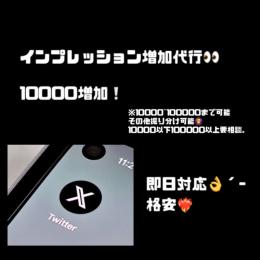 ワンコイン❣️インプレッション10000