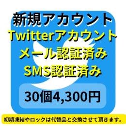 【即納】SMS認証&メール認証済みの高品質 アカウント30個