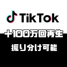 TikTokの再生回数＋100万回増加させます【1動画15万再生〜振り分け可能】