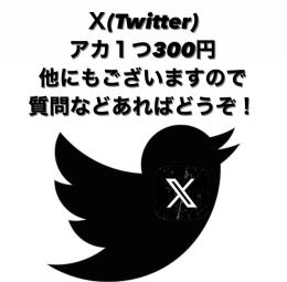 即購入OK】Twitter old垢　オールドアカウント　2023年作成 