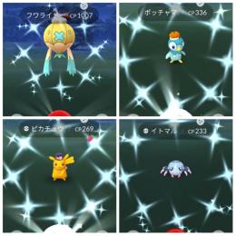 色違いハロウィン帽子ピカチュウ、ポッチャマ、フワライド、イトマル アカウント販売