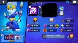 急ぎのため格安‼️引退垢　パワー11×34体
