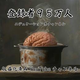 登録者95万人 収益化済みYouTubeチャンネル エデュケーション系