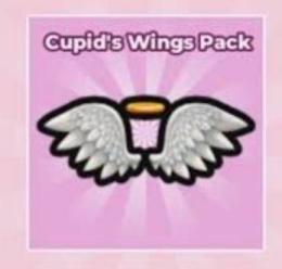 🔥最安値🔥天使の羽　Cupid wings