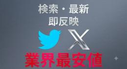 【最安値挑戦中】シャドウバン解除済みX(Twitter)超oldアカウント×10【2009年製】