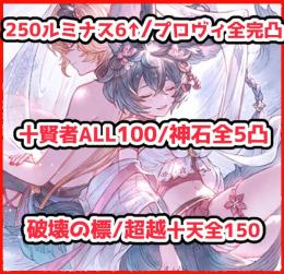 破壊の標/ルミナス250×6↑/十賢者ALL100/アートマン/全超越150/神石プロヴィ天司全完凸