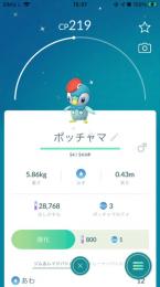 【アカウント】色違い赤帽子ポッチャマ(国産)