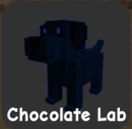 rainbow Chocolate Lab チョコレートラブ